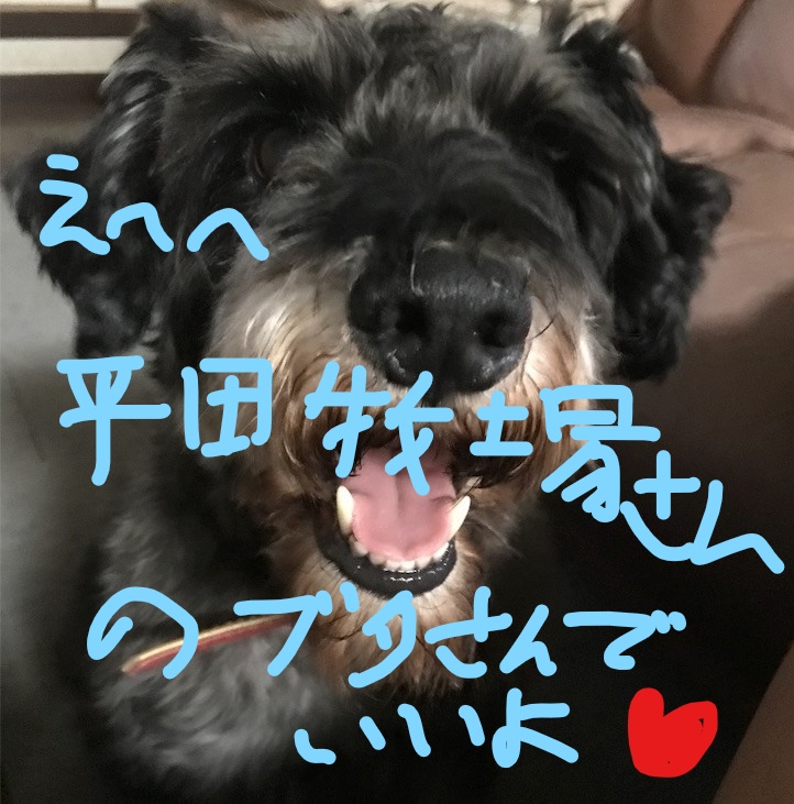 f:id:hukusuke39:20181009130354j:plain f:id:hukusuke39:20181009130354j:plain
