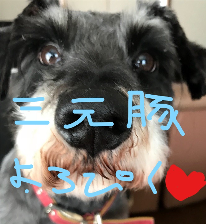 f:id:hukusuke39:20181009130701j:plain f:id:hukusuke39:20181009130701j:plain