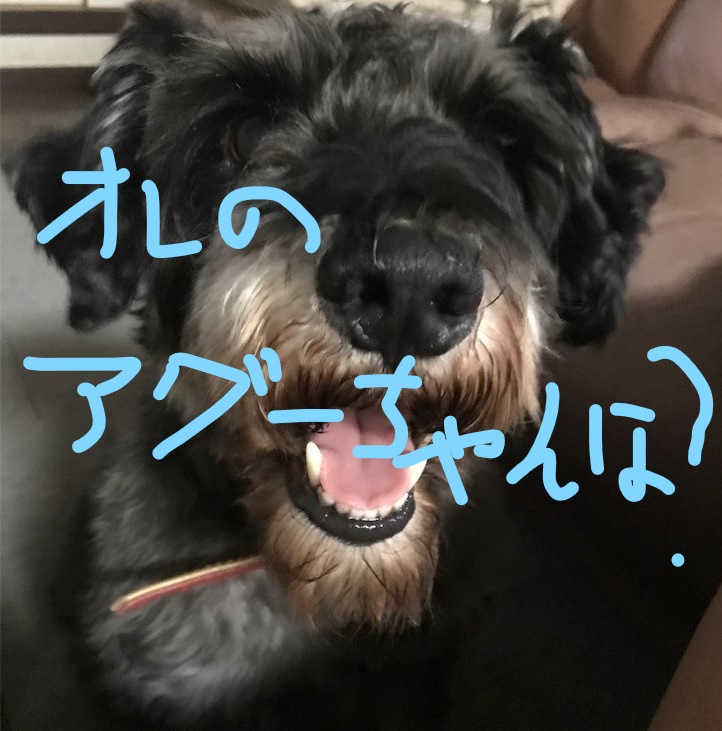 f:id:hukusuke39:20181010091733j:plain f:id:hukusuke39:20181010091733j:plain
