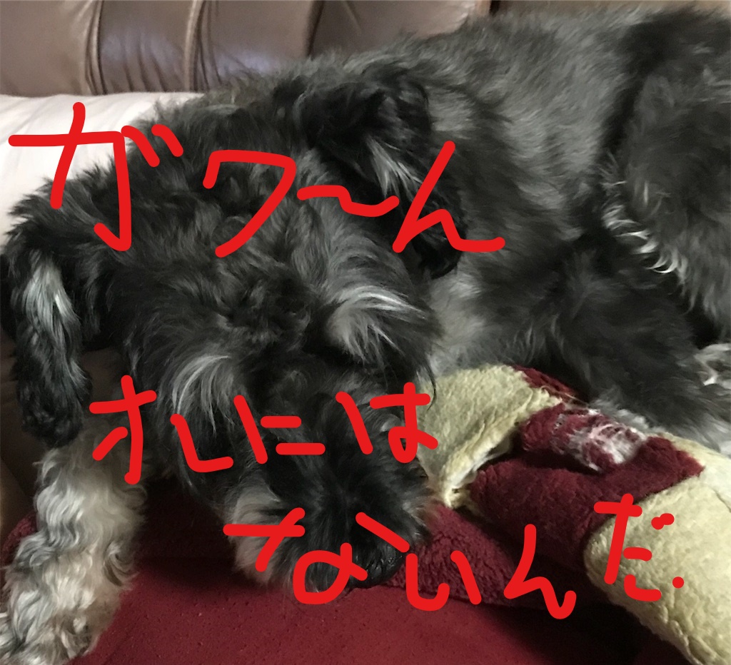 f:id:hukusuke39:20181010092131j:plain f:id:hukusuke39:20181010092131j:plain