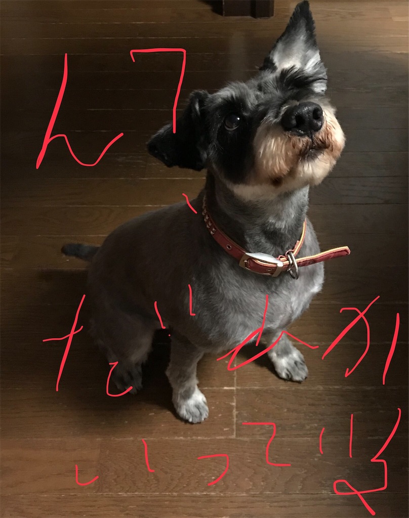 f:id:hukusuke39:20181013171418j:image f:id:hukusuke39:20181013171418j:image