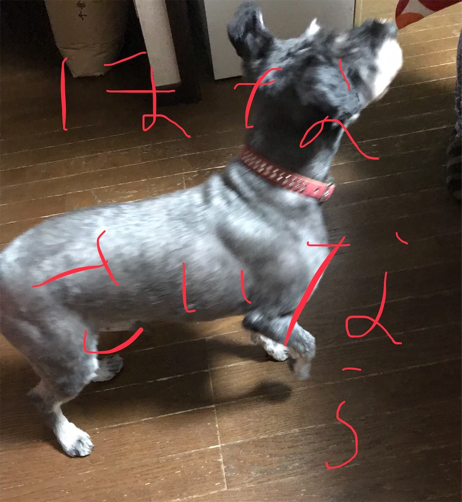 f:id:hukusuke39:20181013171658j:image f:id:hukusuke39:20181013171658j:image