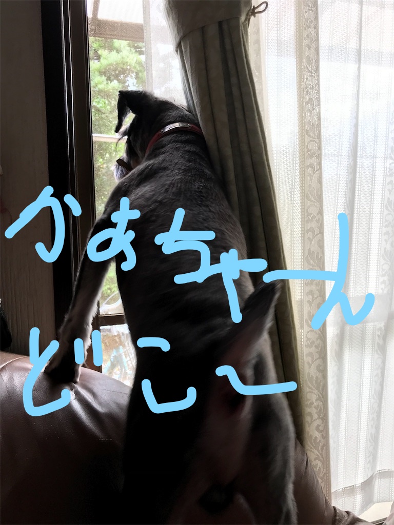 f:id:hukusuke39:20181015085303j:plain f:id:hukusuke39:20181015085303j:plain
