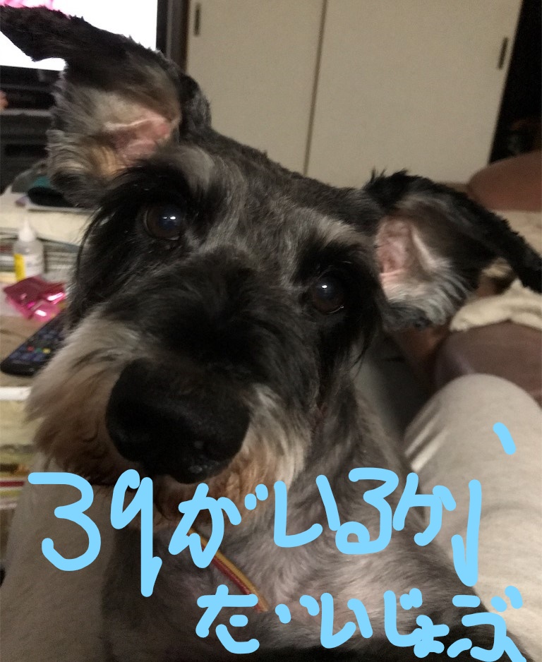 f:id:hukusuke39:20181015090017j:plain f:id:hukusuke39:20181015090017j:plain