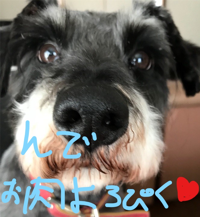 f:id:hukusuke39:20181015090526j:plain f:id:hukusuke39:20181015090526j:plain