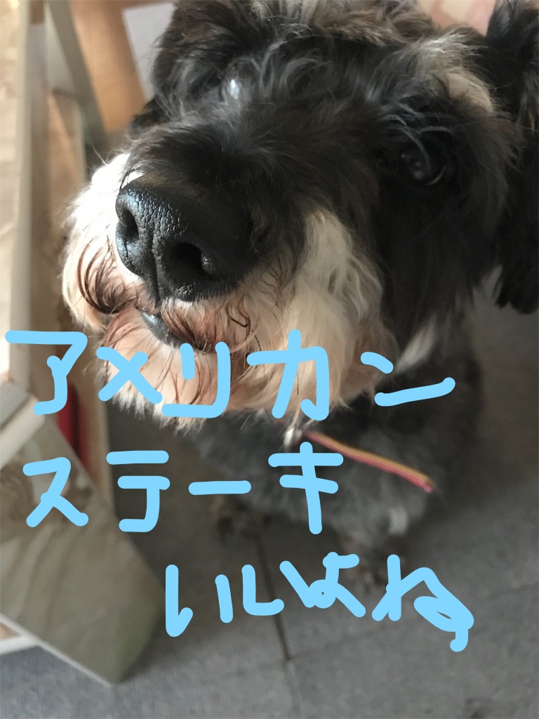 f:id:hukusuke39:20181015104402j:plain