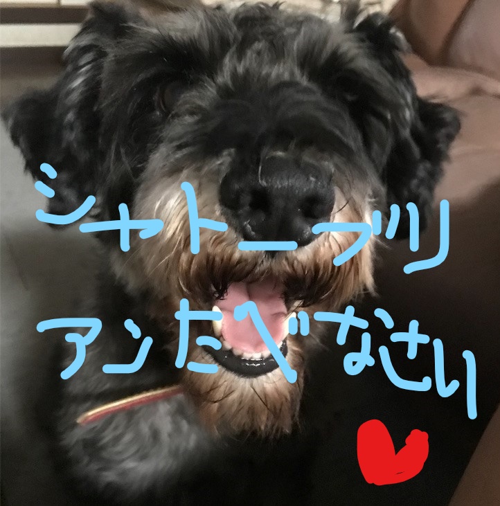 f:id:hukusuke39:20181015105334j:plain