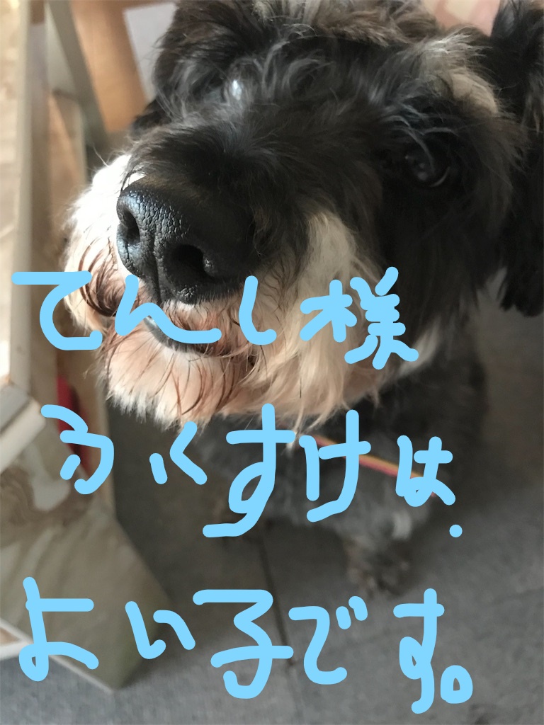 f:id:hukusuke39:20181016122919j:plain f:id:hukusuke39:20181016122919j:plain