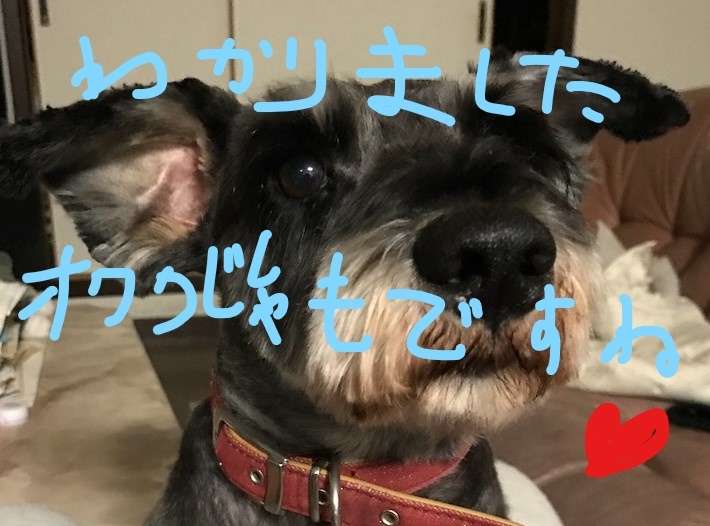f:id:hukusuke39:20181016123452j:plain f:id:hukusuke39:20181016123452j:plain