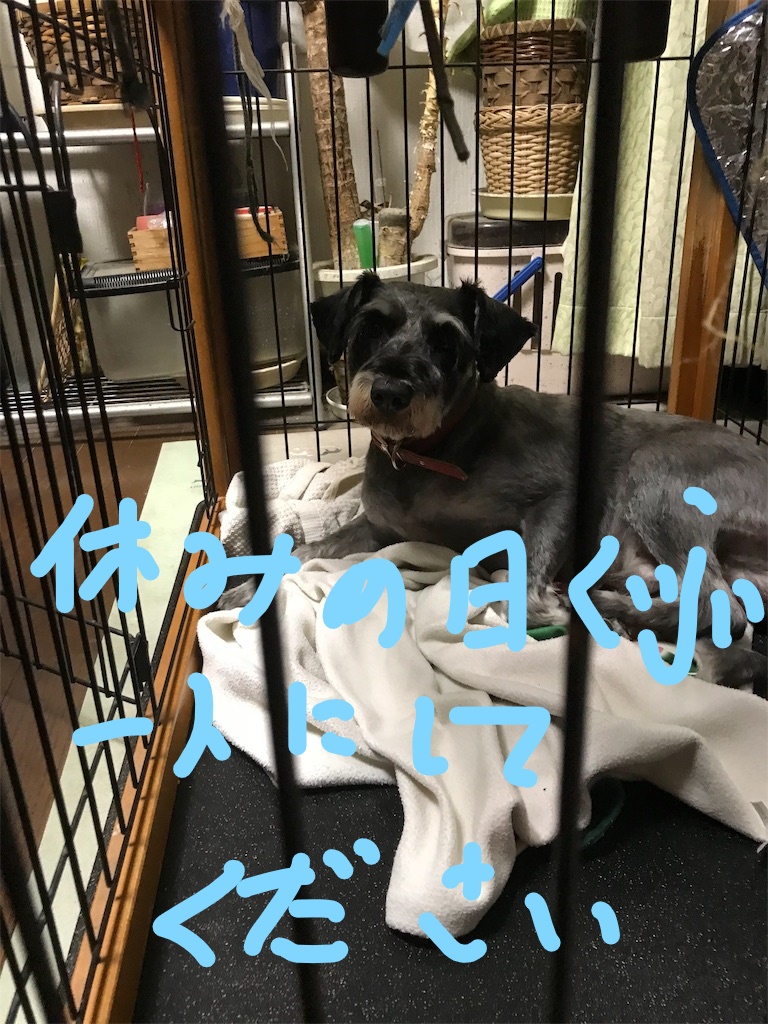 f:id:hukusuke39:20181018090745j:plain f:id:hukusuke39:20181018090745j:plain