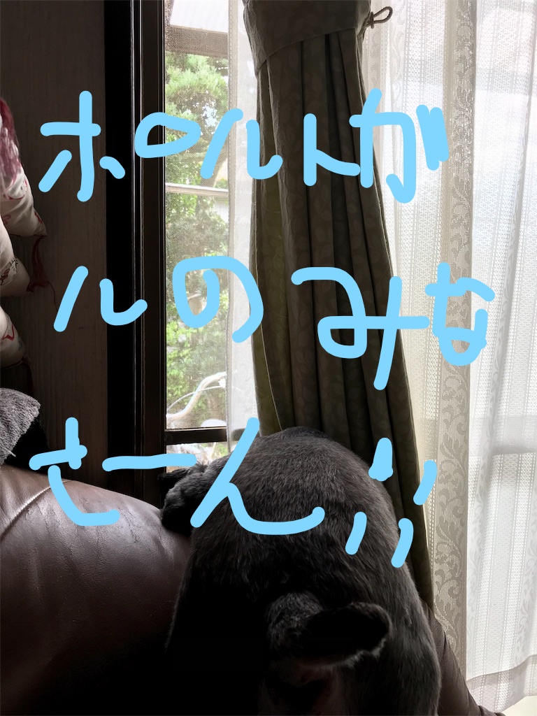 f:id:hukusuke39:20181018144926j:plain
