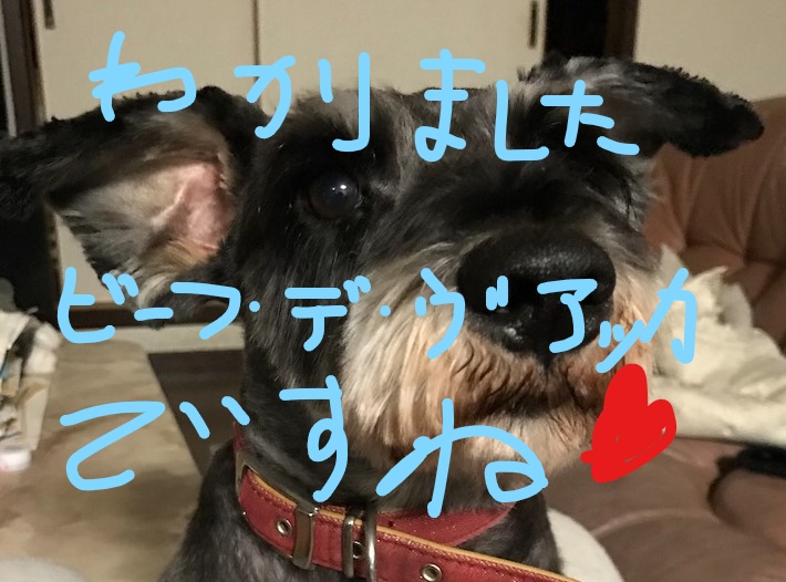 f:id:hukusuke39:20181018145528j:plain