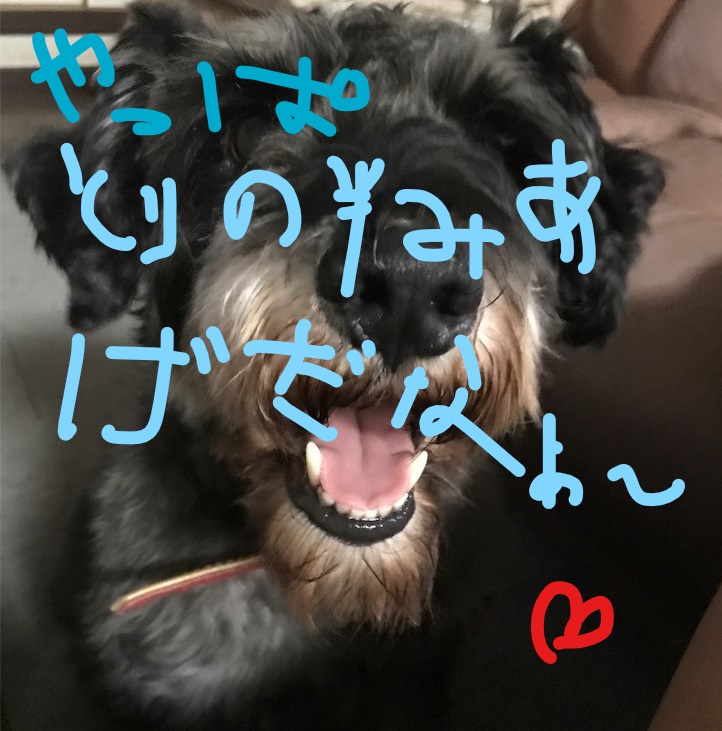f:id:hukusuke39:20181018151202j:plain