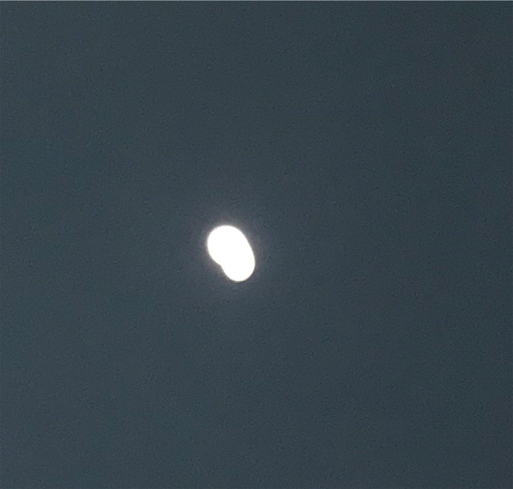 f:id:hukusuke39:20181021195517j:image