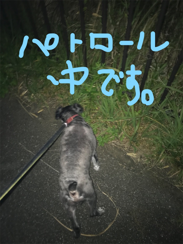 f:id:hukusuke39:20181022124501j:plain f:id:hukusuke39:20181022124501j:plain