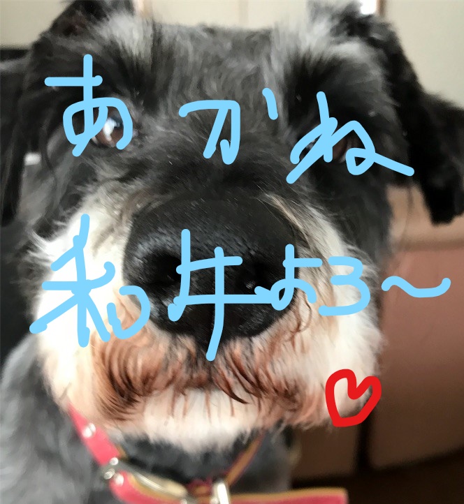 f:id:hukusuke39:20181022124821j:plain f:id:hukusuke39:20181022124821j:plain