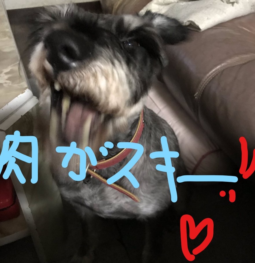 f:id:hukusuke39:20181024093137j:plain