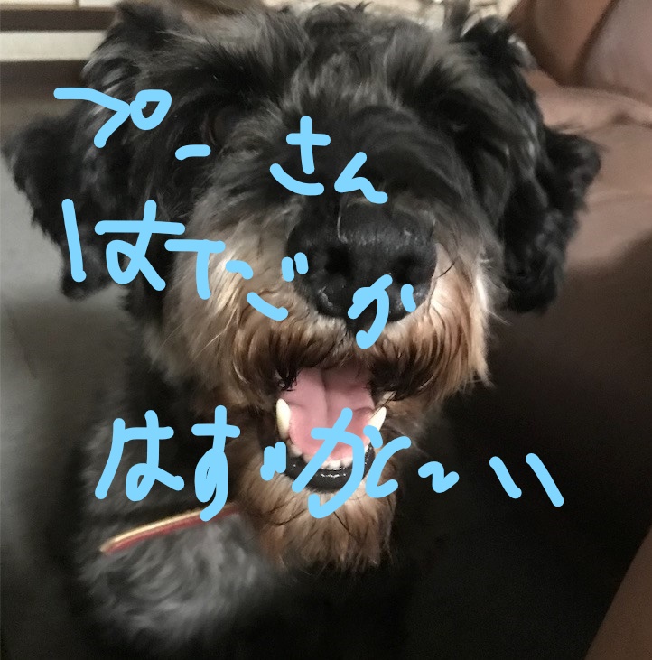 f:id:hukusuke39:20181025083359j:plain f:id:hukusuke39:20181025083359j:plain