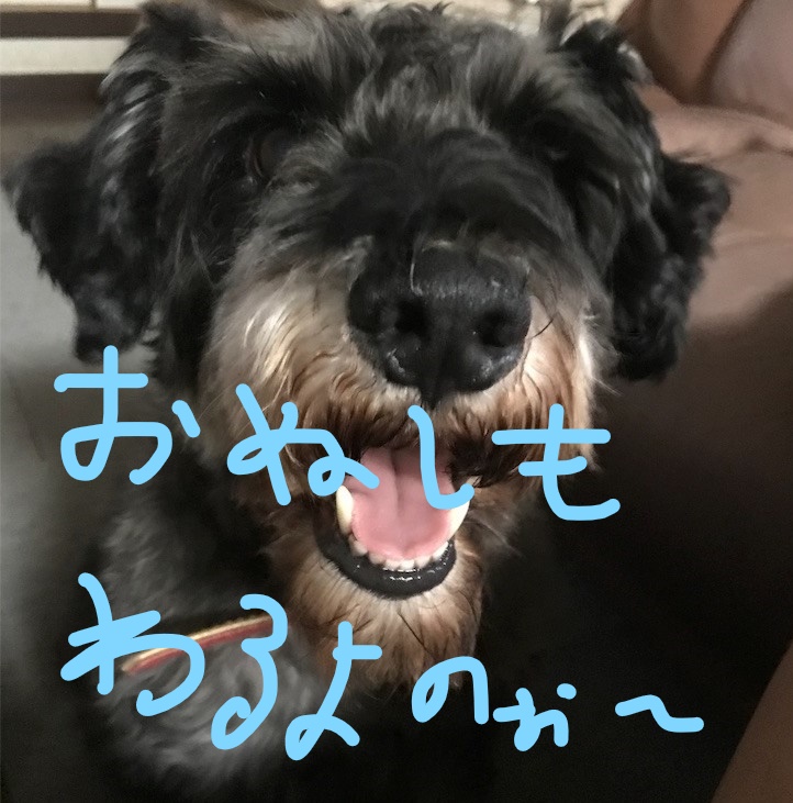 f:id:hukusuke39:20181026085856j:plain
