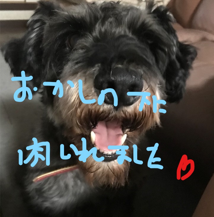 f:id:hukusuke39:20181026090847j:plain