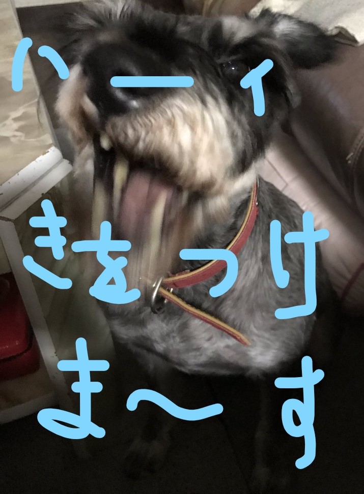 f:id:hukusuke39:20181027123408j:plain