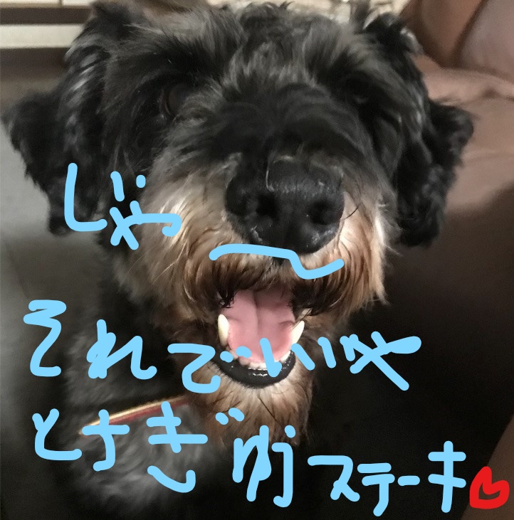 f:id:hukusuke39:20181102083331j:plain f:id:hukusuke39:20181102083331j:plain