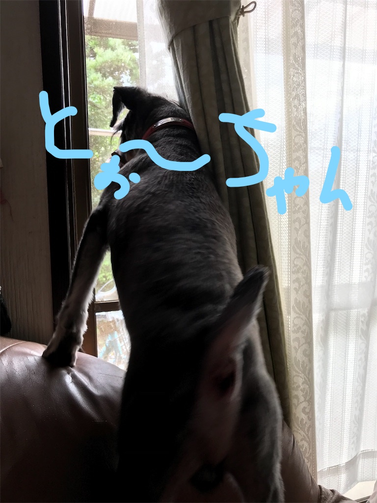 f:id:hukusuke39:20181102103700j:plain f:id:hukusuke39:20181102103700j:plain