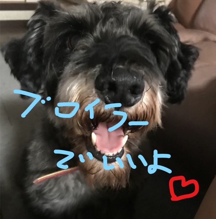 f:id:hukusuke39:20181106091025j:plain f:id:hukusuke39:20181106091025j:plain