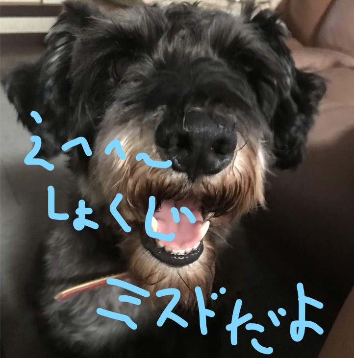 f:id:hukusuke39:20181108153953j:plain