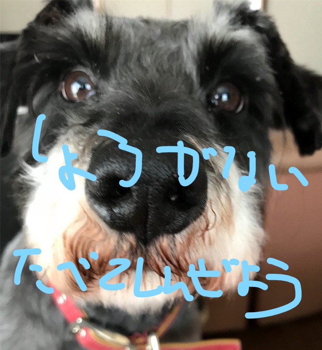 f:id:hukusuke39:20181108154234j:plain