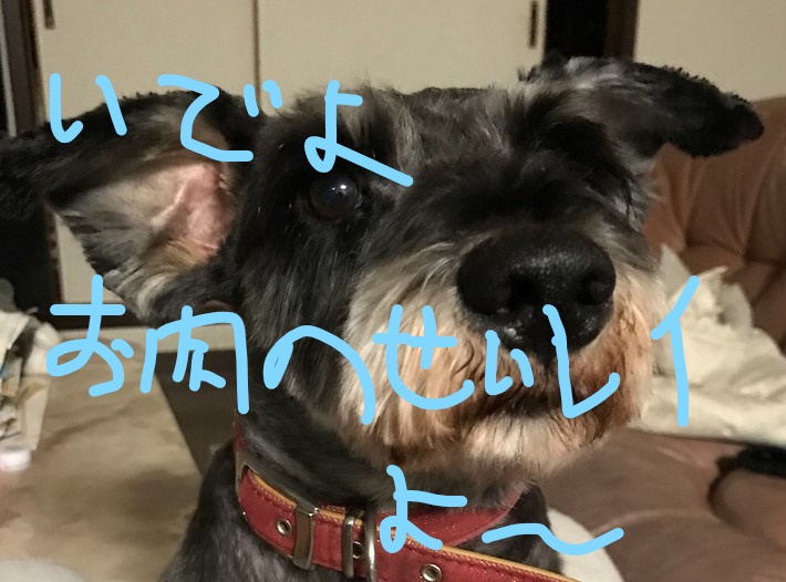f:id:hukusuke39:20181109082843j:plain f:id:hukusuke39:20181109082843j:plain