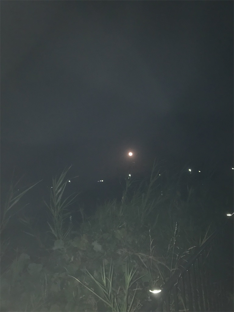 f:id:hukusuke39:20181125071824j:image