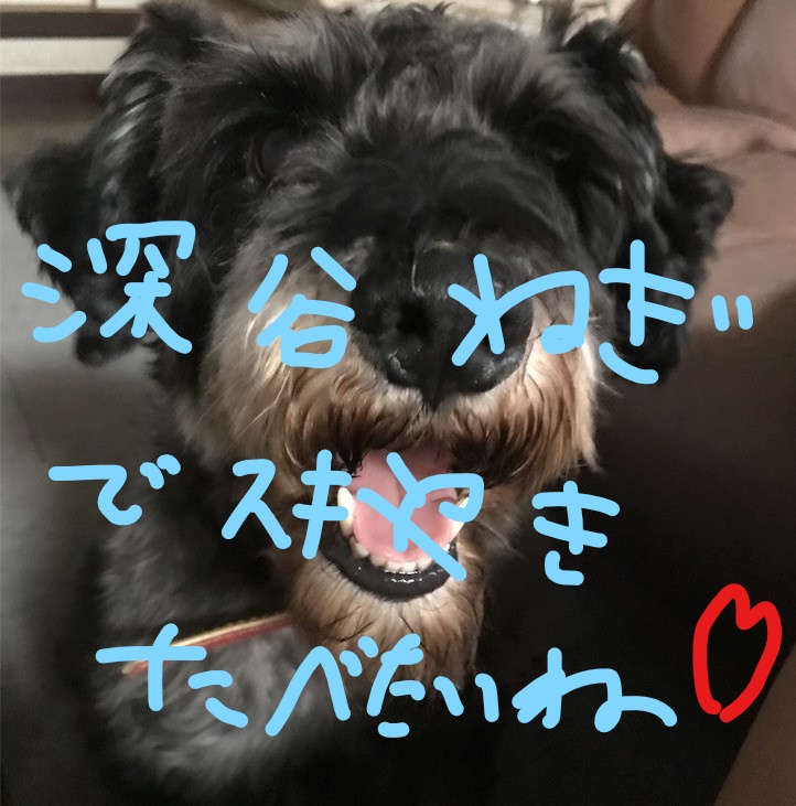 f:id:hukusuke39:20181126115217j:plain f:id:hukusuke39:20181126115217j:plain
