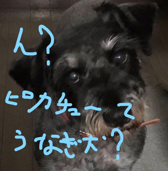 f:id:hukusuke39:20181130091552j:plain