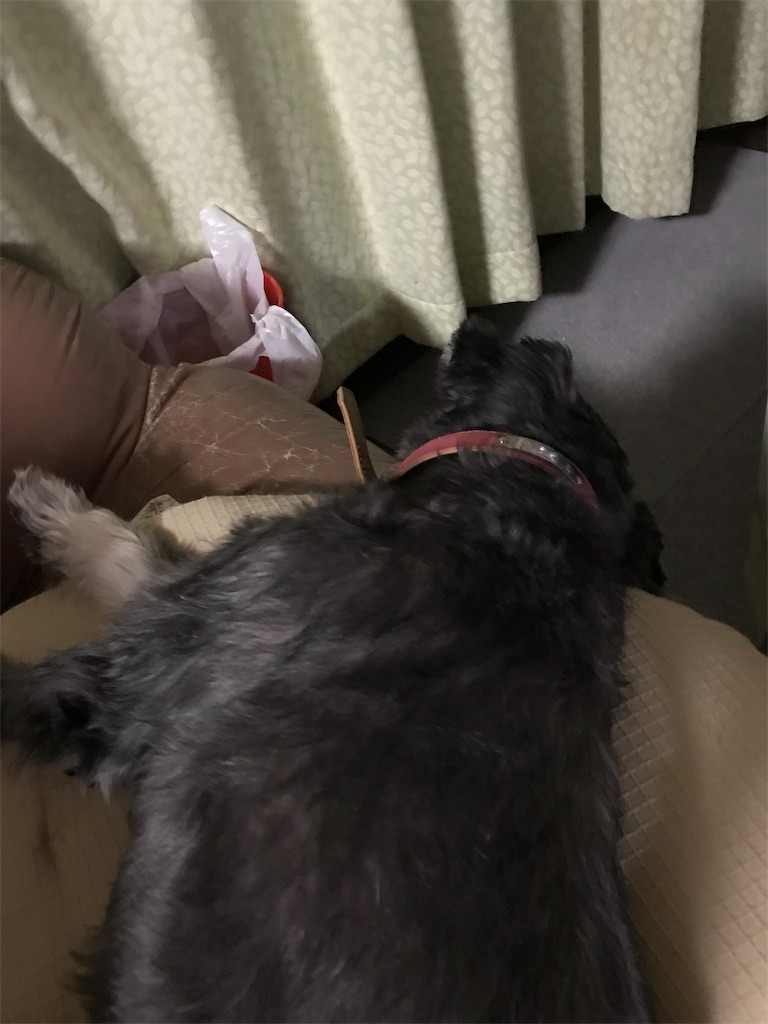 f:id:hukusuke39:20190103204524j:image