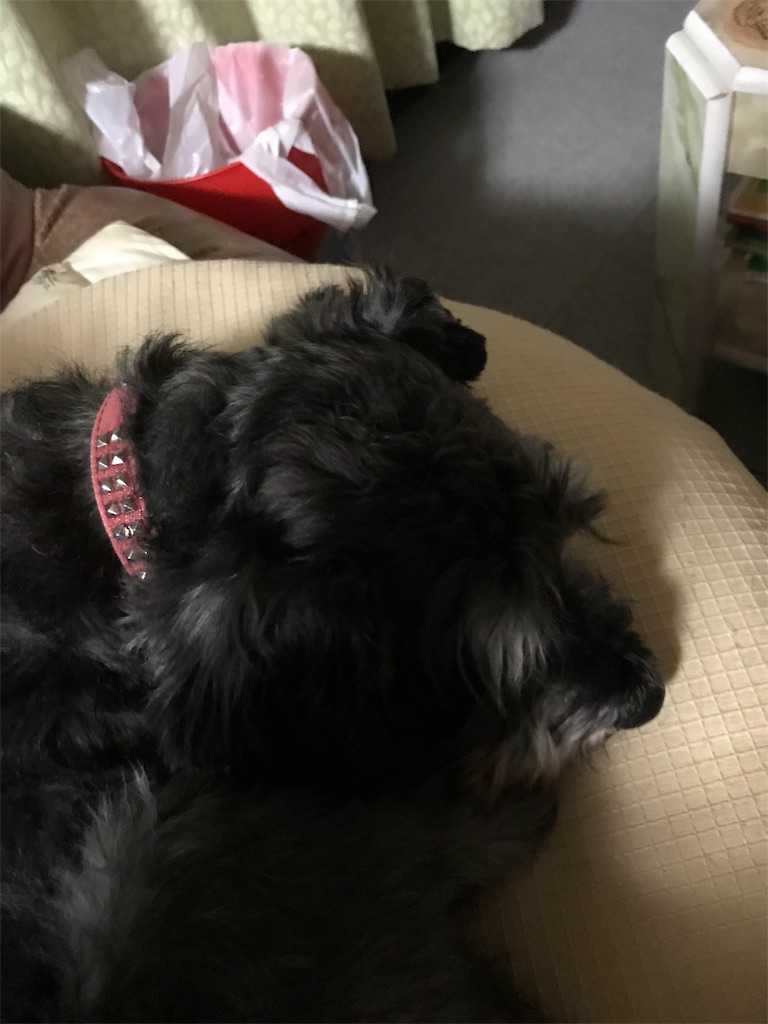 f:id:hukusuke39:20190103204528j:image