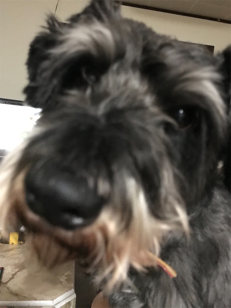 f:id:hukusuke39:20190108195347j:image f:id:hukusuke39:20190108195347j:image