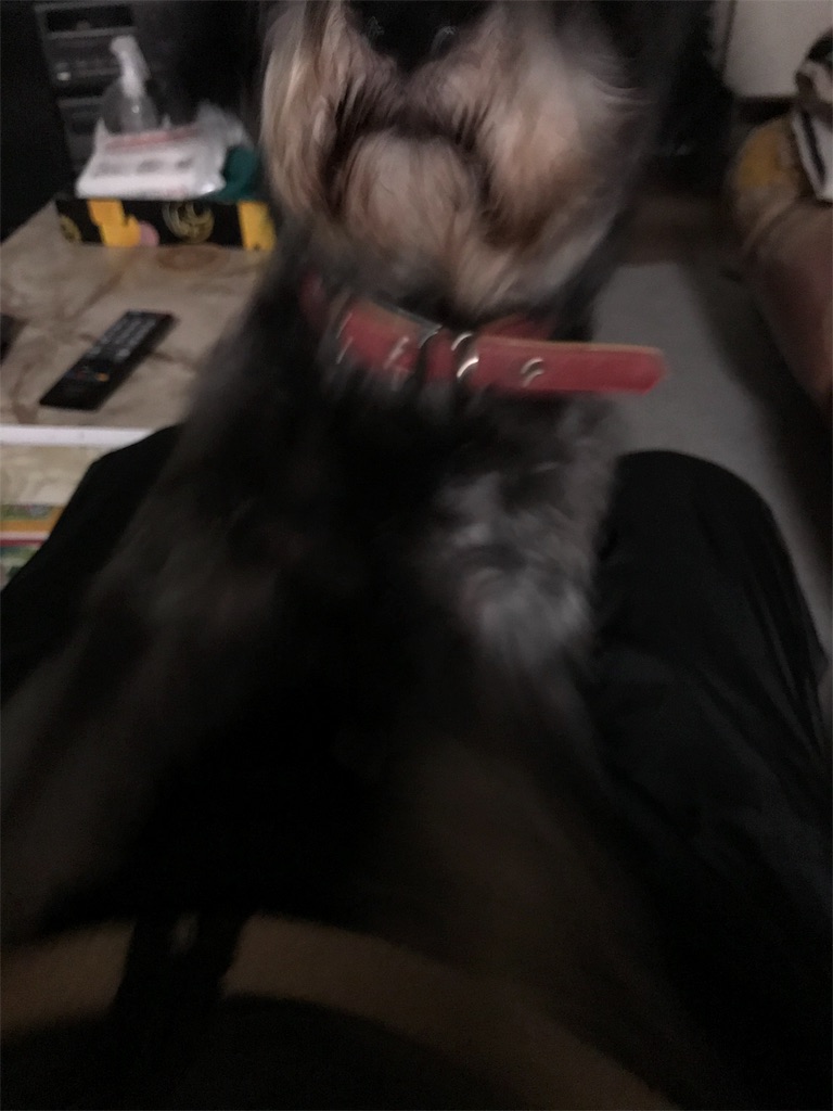 f:id:hukusuke39:20190108195353j:image f:id:hukusuke39:20190108195353j:image