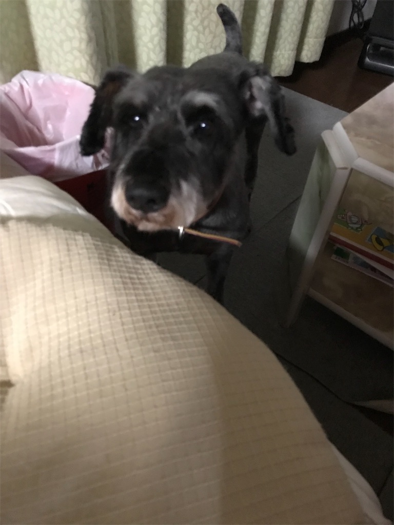 f:id:hukusuke39:20190125060551j:plain