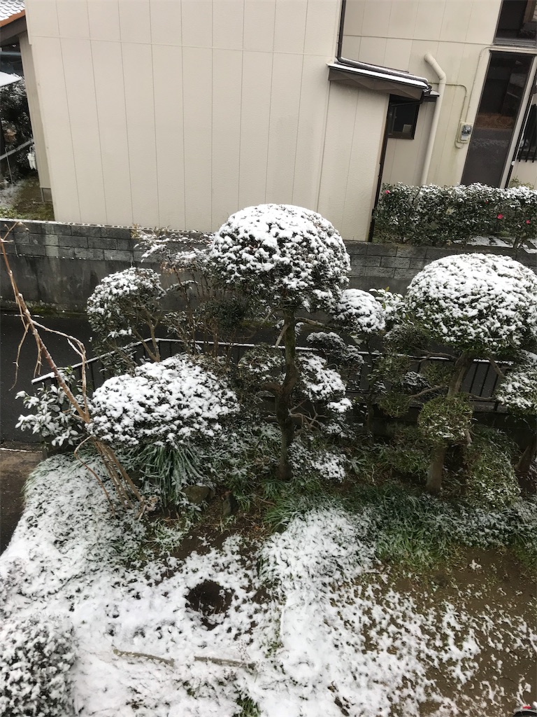 f:id:hukusuke39:20190211073728j:image