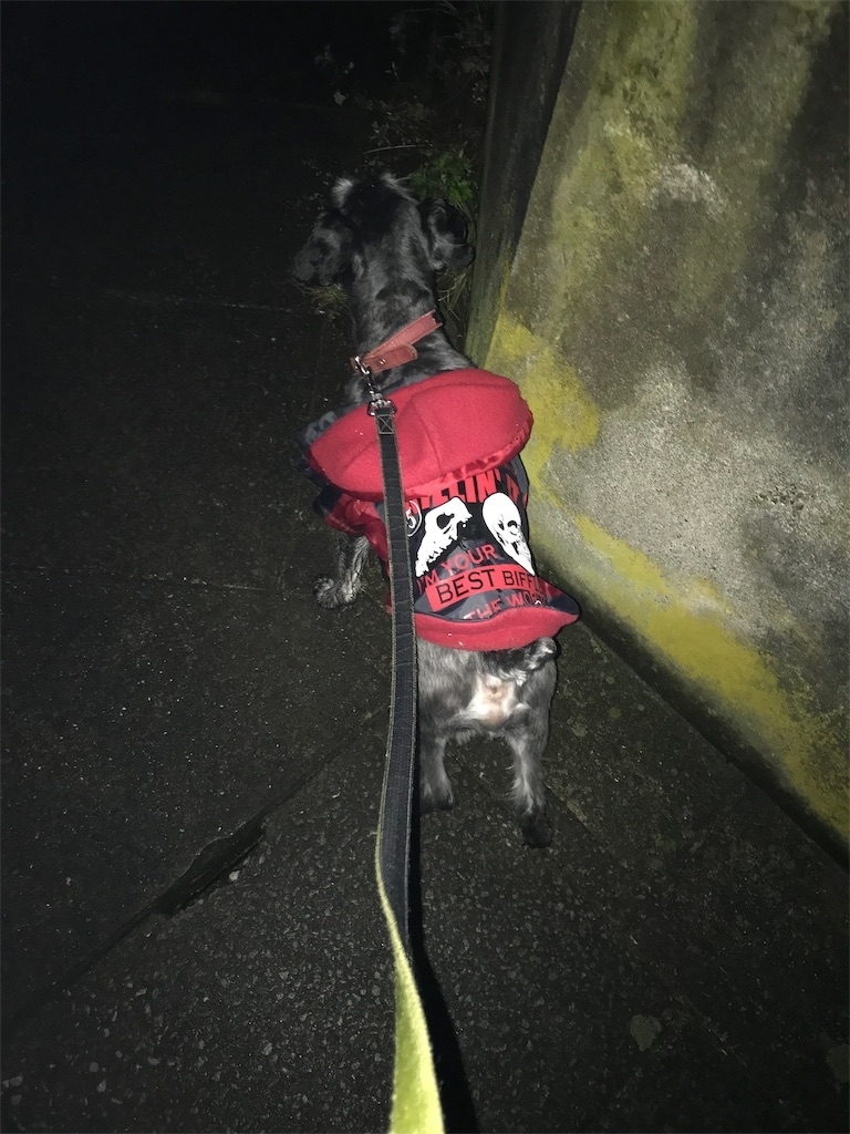 f:id:hukusuke39:20190212082235j:plain f:id:hukusuke39:20190212082235j:plain