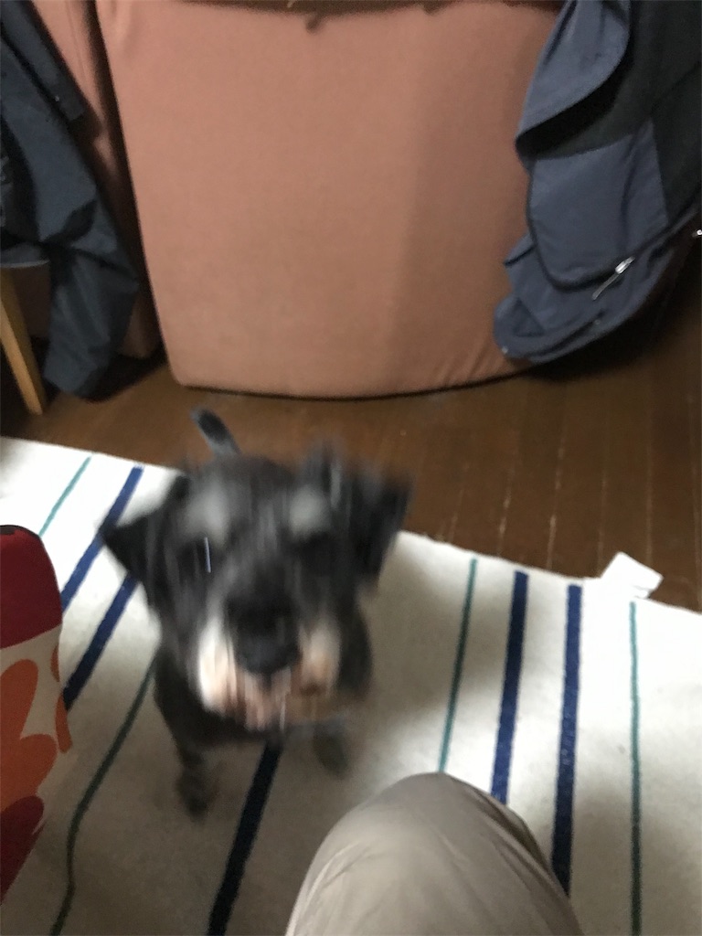 f:id:hukusuke39:20190216060413j:image