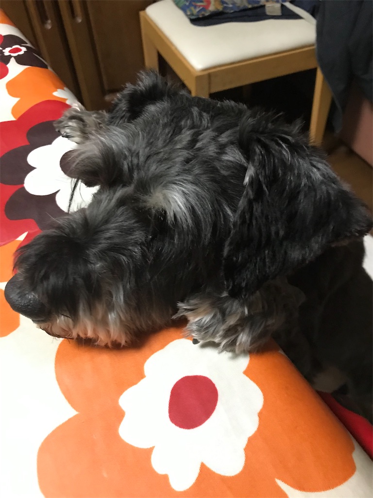 f:id:hukusuke39:20190226202423j:plain