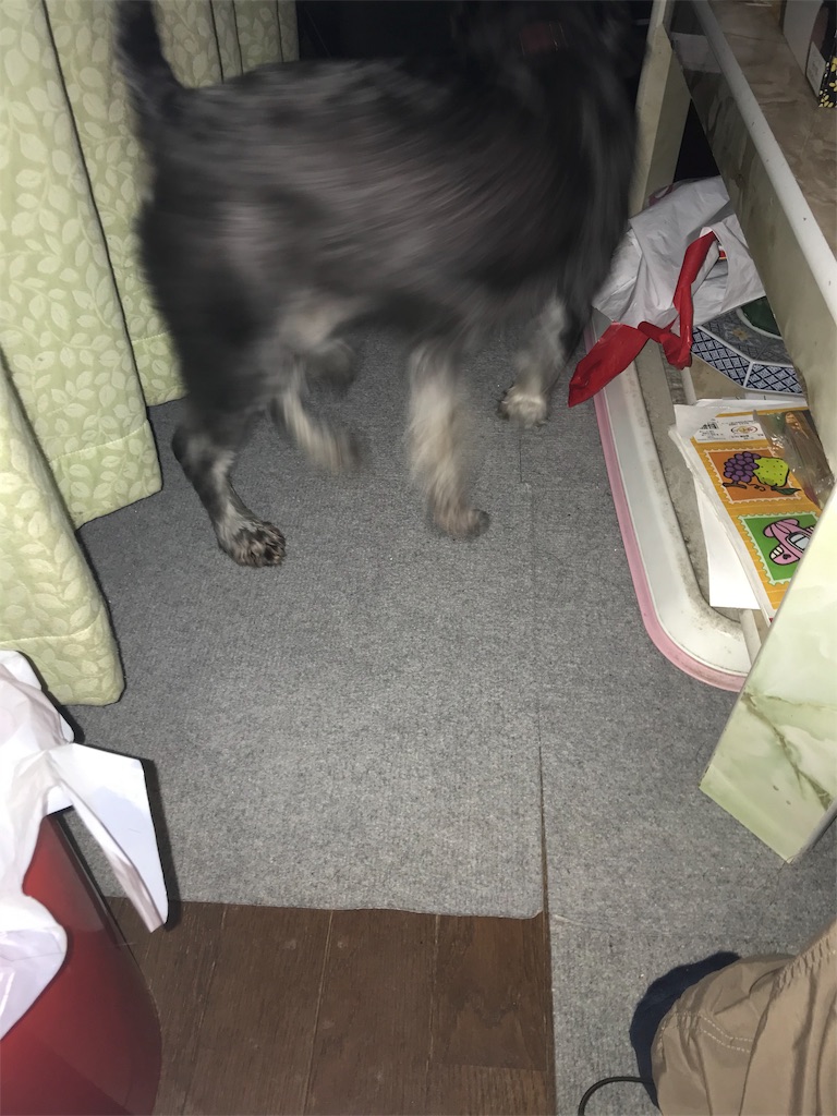 f:id:hukusuke39:20190228193331j:plain