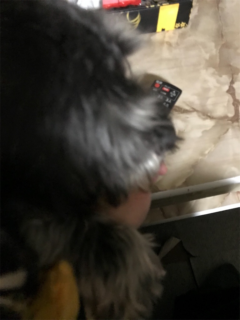 f:id:hukusuke39:20190314035515j:image