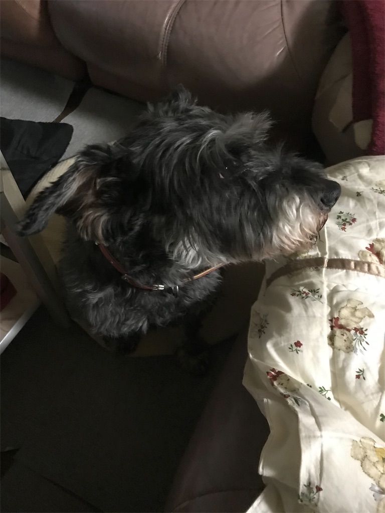 f:id:hukusuke39:20190329055624j:image