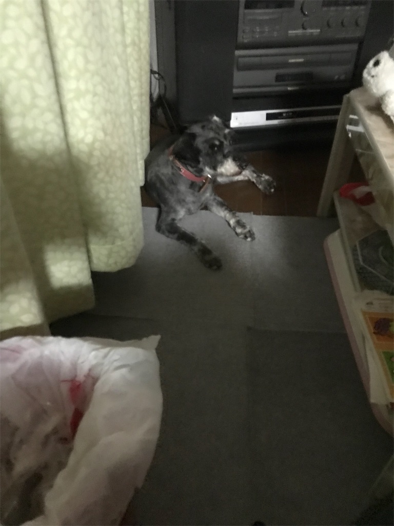 f:id:hukusuke39:20190407183005j:image f:id:hukusuke39:20190407183005j:image