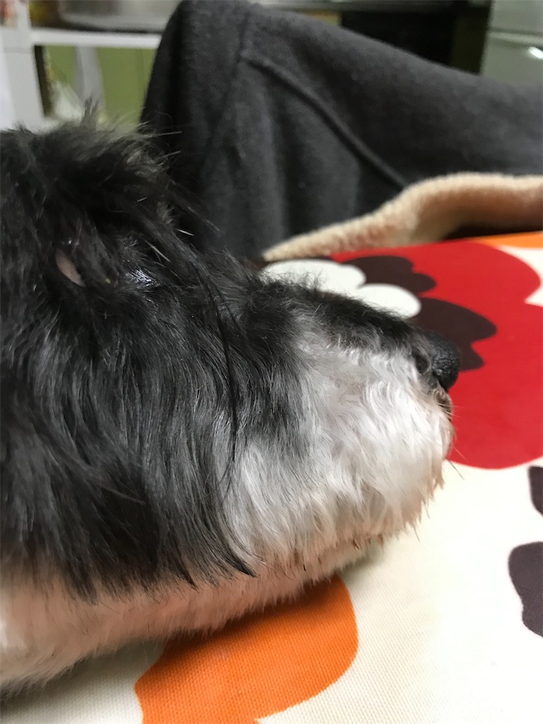 f:id:hukusuke39:20190408203613j:image