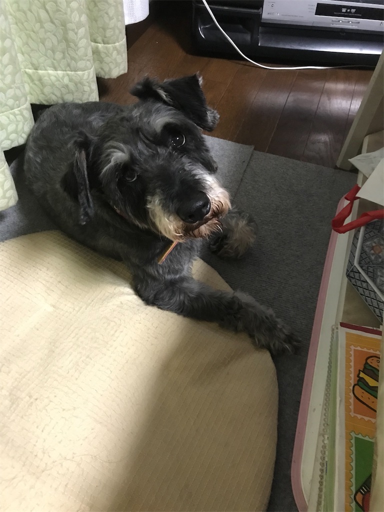 f:id:hukusuke39:20190601070517j:image