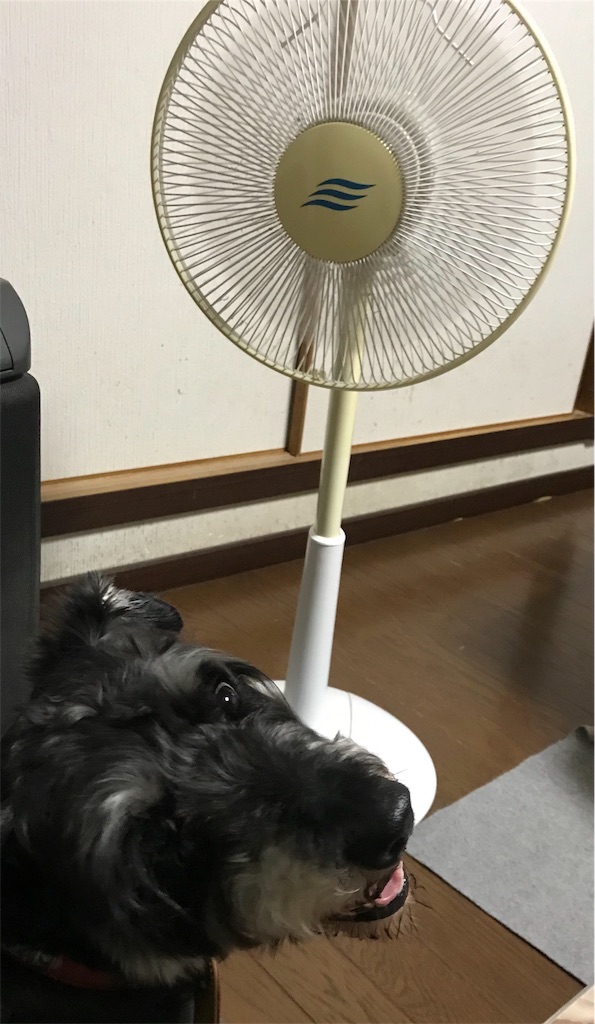 f:id:hukusuke39:20190602125224j:image
